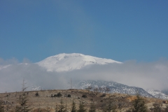 DSCN0364