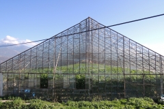 DSCN0371