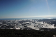 DSCN0381