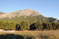 DSCN0406