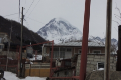 DSCN0729