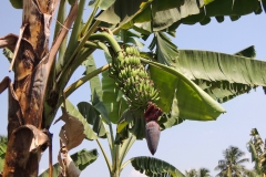 DSCN1203