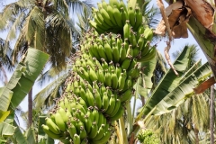 DSCN1205