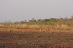 DSCN1265