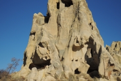 DSCN0552