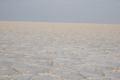 DSCN0001 (1)