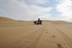 DSCN0863