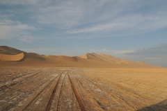 DSCN0873