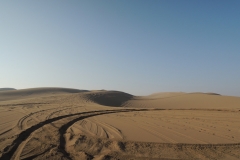 DSCN0912