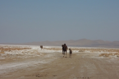 DSCN0974