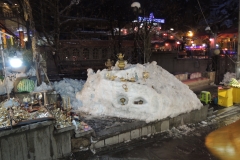 DSCN0801