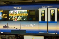 DSCN0819