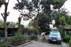 DSCN1314